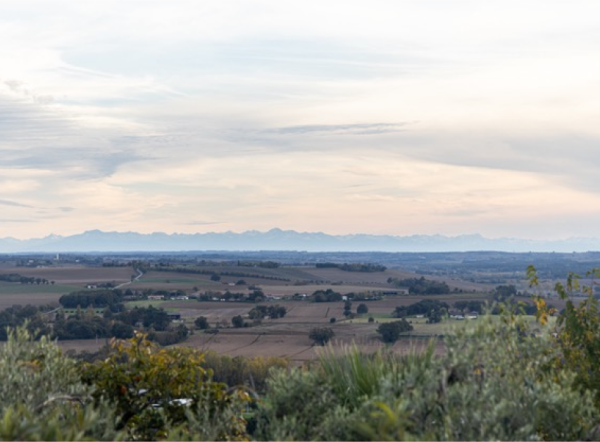 Le Bastion - restaurant LECTOURE - Brasserie Lectoure